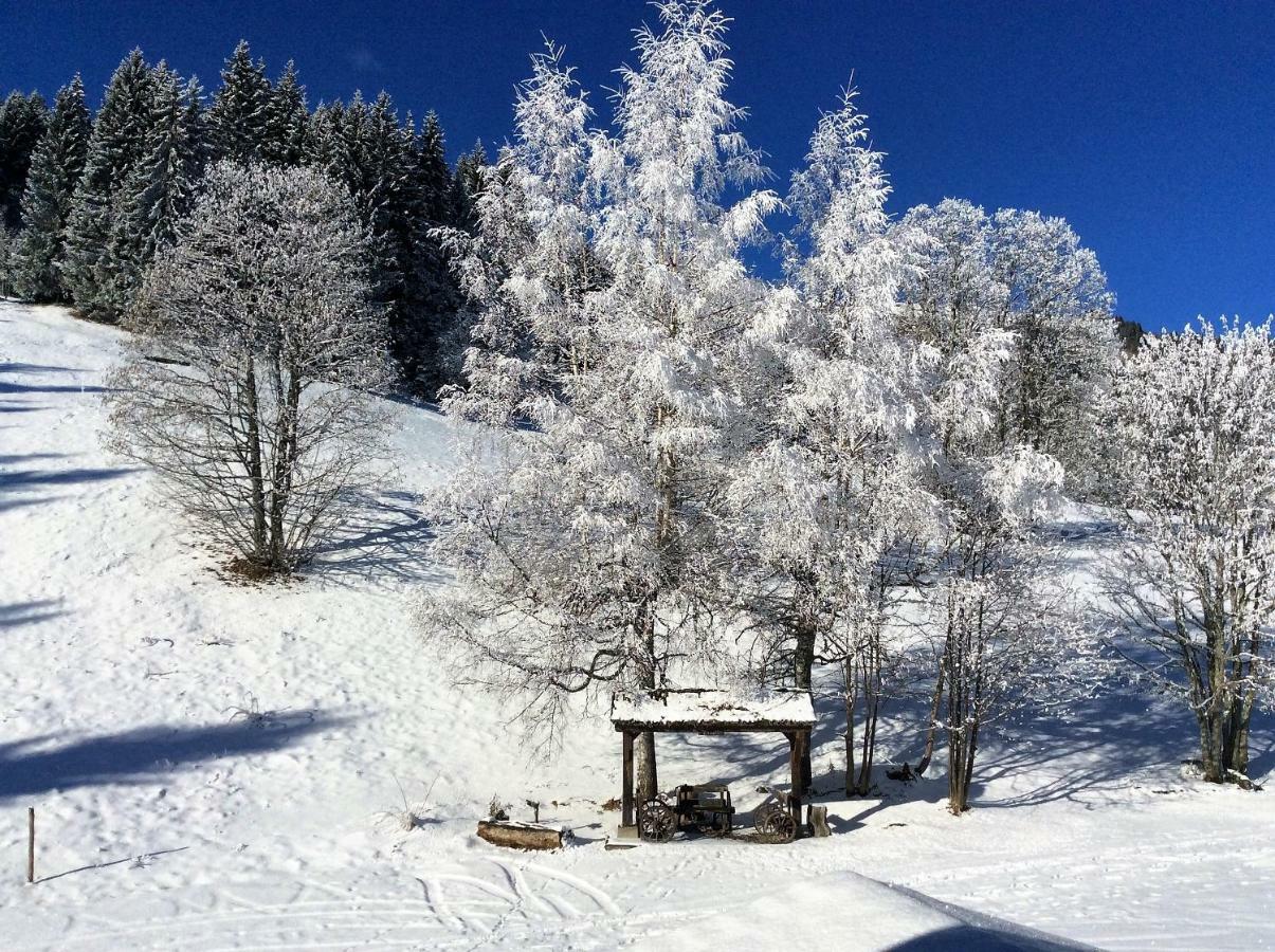 Vila Le Refuge Cordon Exteriér fotografie